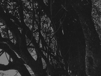 Sunvher album cover